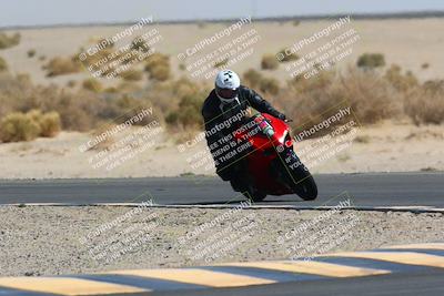 media/Mar-28-2022-Superbike Trackdays (Mon) [[b8603d0f67]]/Open Track Time/Turn 16/